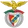 Benfica flag